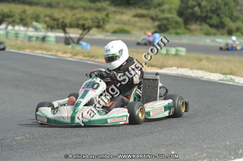 DSC (3699).JPG
